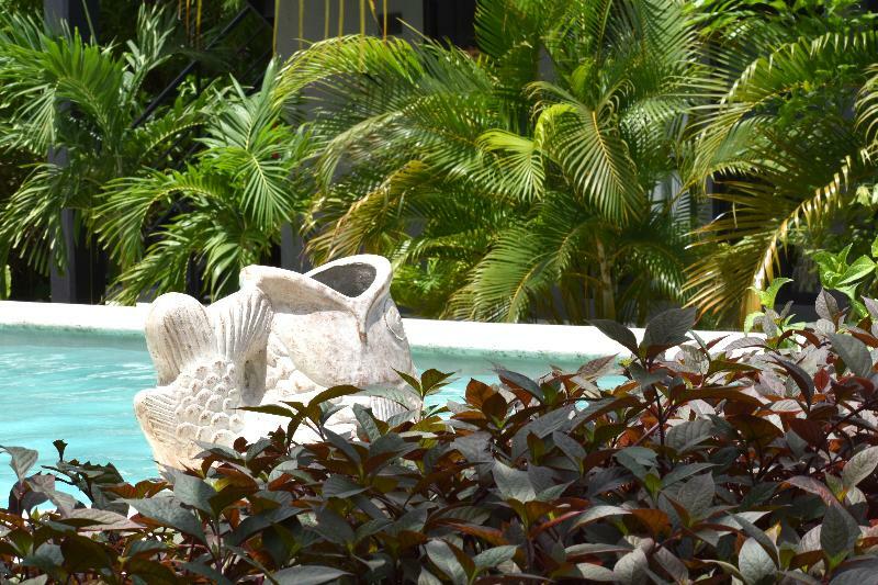 Barronegro (Adults Only) Ξενοδοχείο Τουλούμ Εξωτερικό φωτογραφία